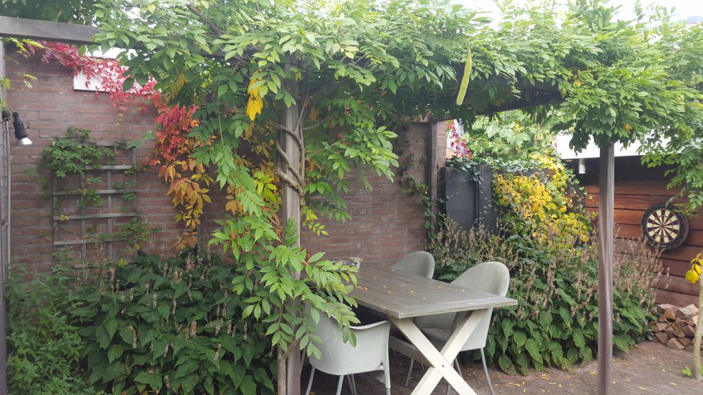 Satdstuin-Haarlem-LNT-1024x576